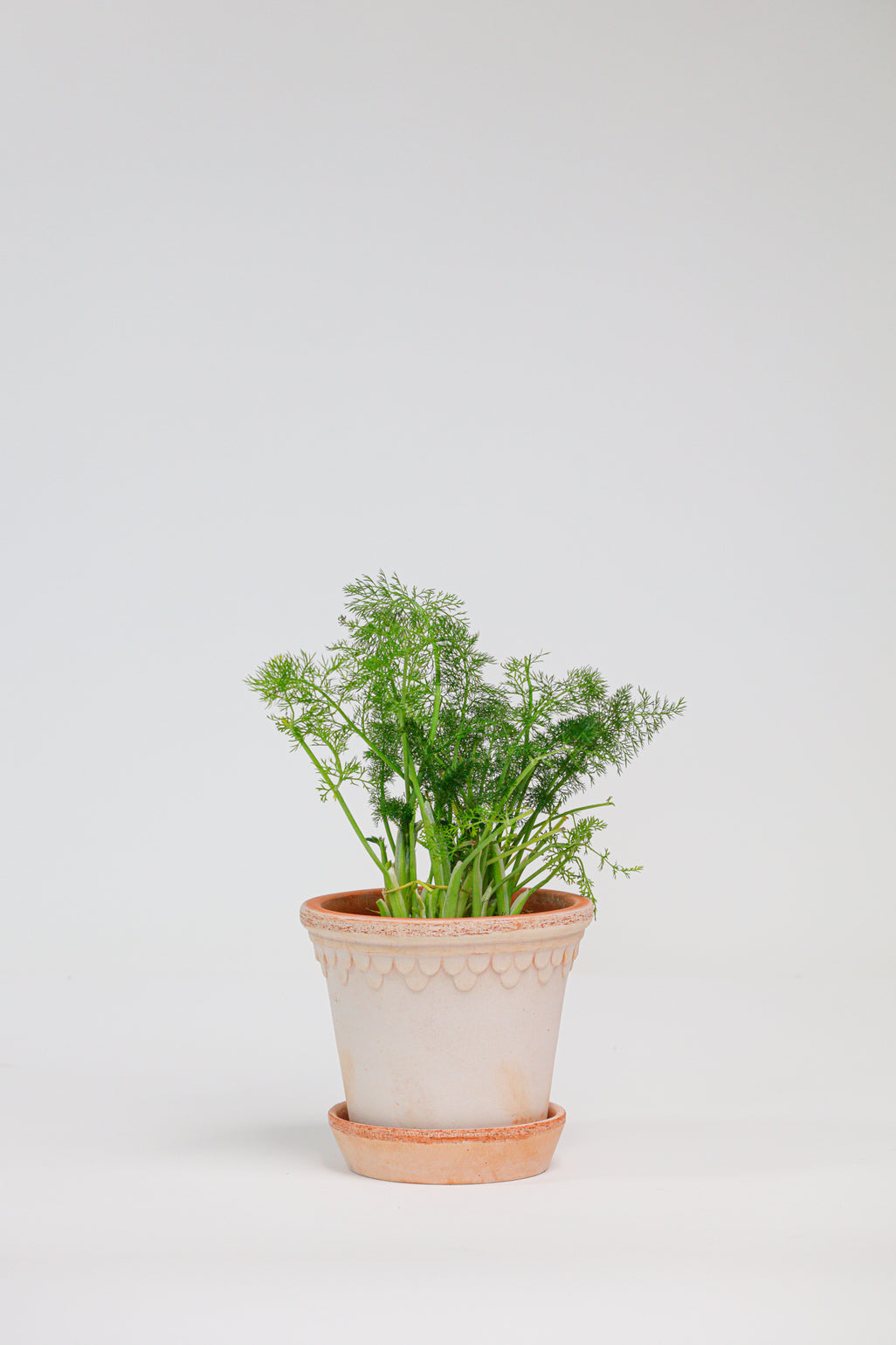 products/SotoProductShootLowQ-1718.jpg